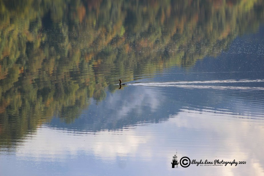 Reflections On An October Morning